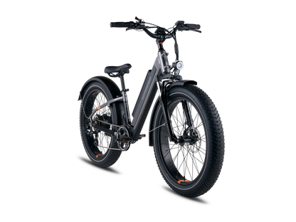 RadRover™ 6 Plus Eléctrica Fat Tire