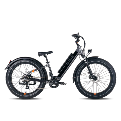 RadRover™ 6 Plus Eléctrica Fat Tire